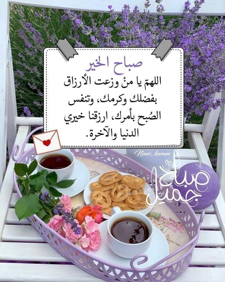 محمود فتحي (@fthymhmwd68023) on Twitter photo 