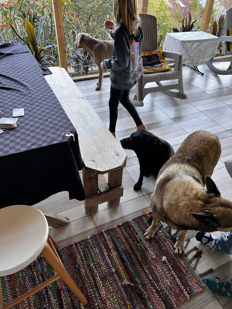 CollabRebellion's tweet photo. Must love dogs https://t.co/NjBUzaLeL1