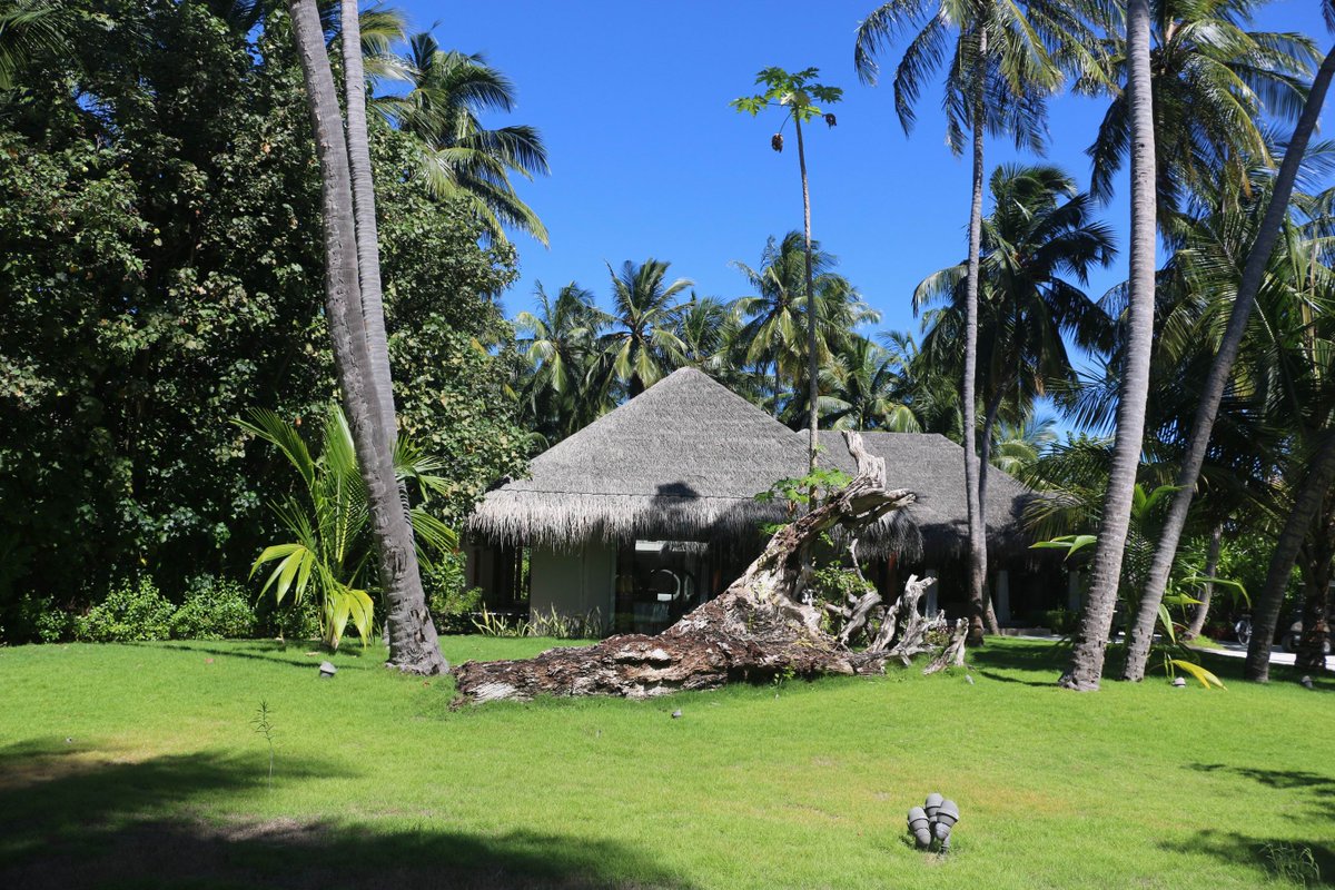 Russey_FL_ (@russeyf12848) on Twitter photo 