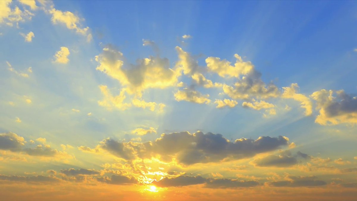 Zucchi__ni (@nizucchi58846) on Twitter photo 