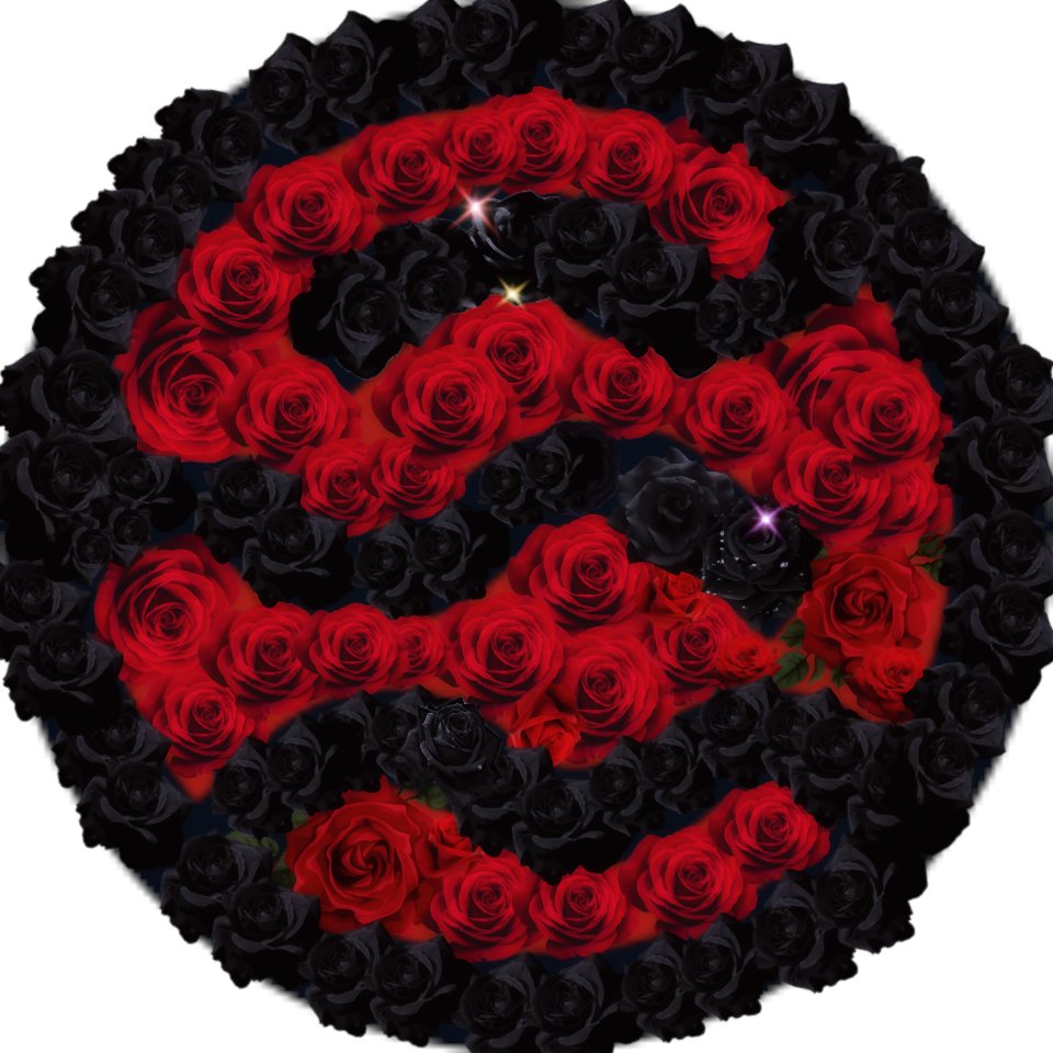 Anastasiia tweet media