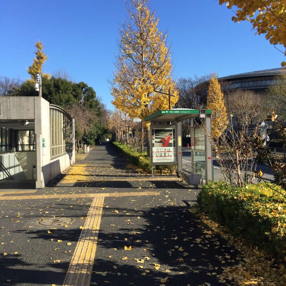 Tenesmy (@tenesmy85832) on Twitter photo 