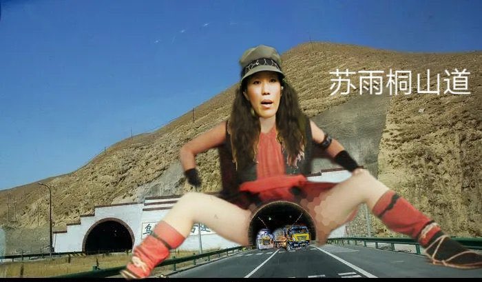 哈哈，这图牛逼，应该能获得中推年度图片奖，苏雨桐最大的梦想就是在逼里开隧道停火车停航空母舰。咱说苏雨桐的八辈祖奶奶是不是苏东坡的妹妹啊，这张大驴脸长得忒有苏氏风格啊！