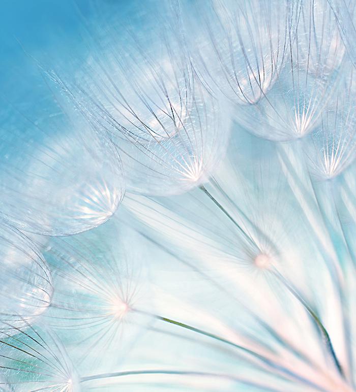 JourneyJes59425's tweet image. 