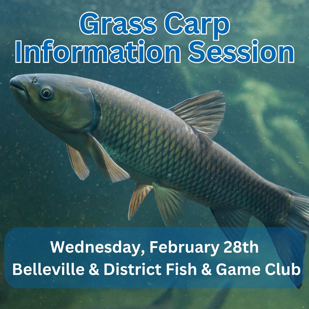 Come and visit us at the Grass Carp information session on Wednesday, February 28th, at the Belleville &amp; District Fish &amp; Game Club in Belleville, ON. Booths, presentations, Q&amp;A period, and food/refreshments included! Click here to register for free: events.r20.constantcontact.com/register/event…
