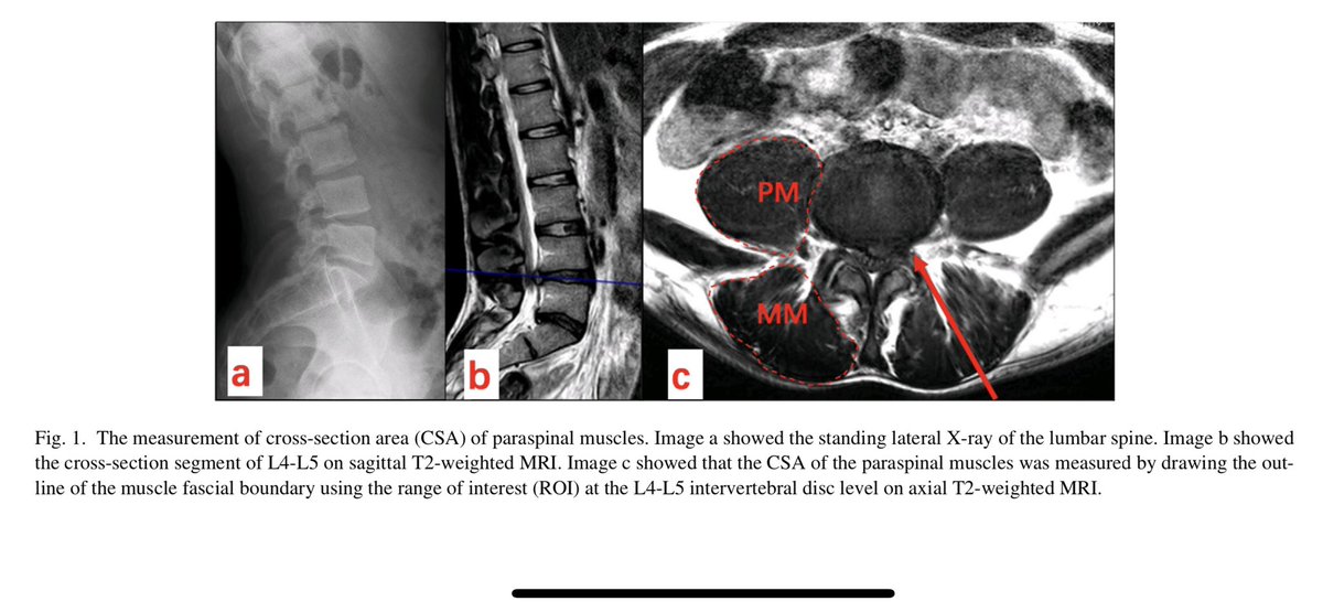 Asaf (Klaf) Weisman tweet media
