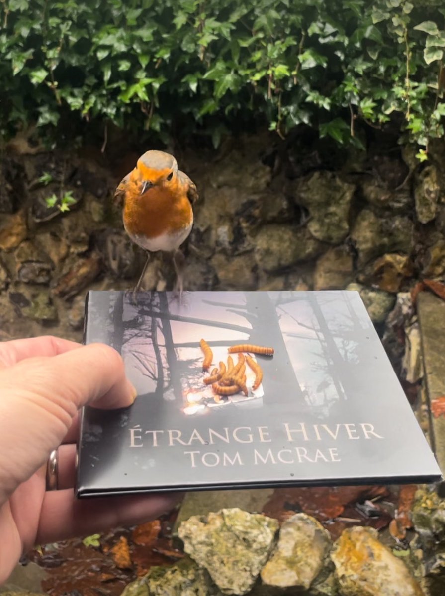 TOM MCRAE tweet media