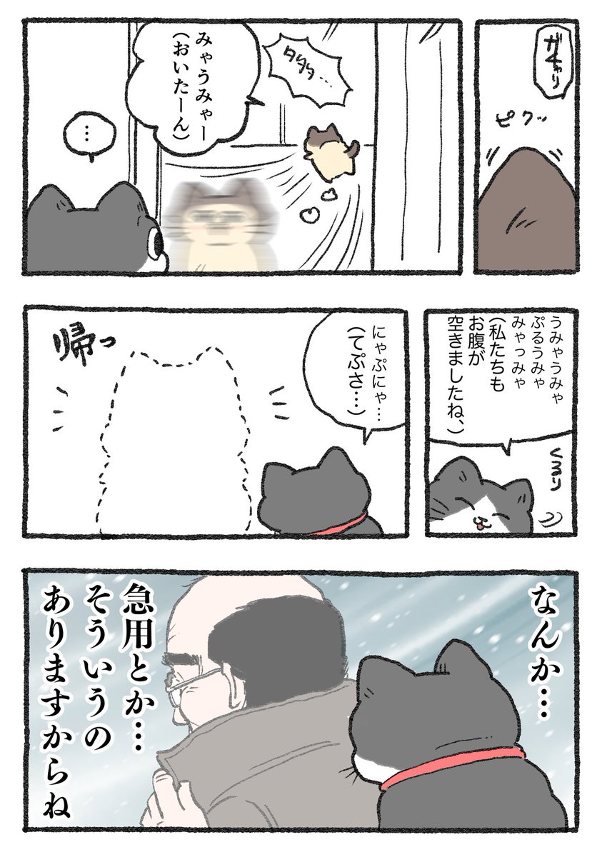 yajima_en's tweet photo. ねこに転生したおじさん。その382 https://t.co/DSJNqOWkKf