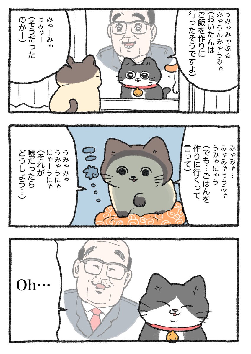 ねこちゃんさんお値下げ分 シズカオンラインショップ – ねこ肯定感 抱きまくら Mサイズ /L