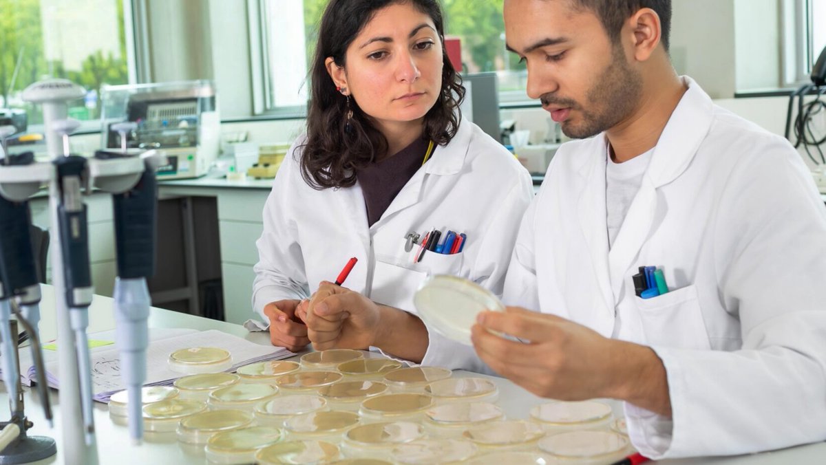 tudelft's tweet photo. The IDEA League offers TU Delft assistant professors and Academic Career Track staff the chance to apply for Fellowships. Recipients can spend 3 – 6 months at partner universities, collaborating on project proposals or research themes. 

More information👉https://t.co/8LS7XTQG17 https://t.co/M7812ObpAZ
