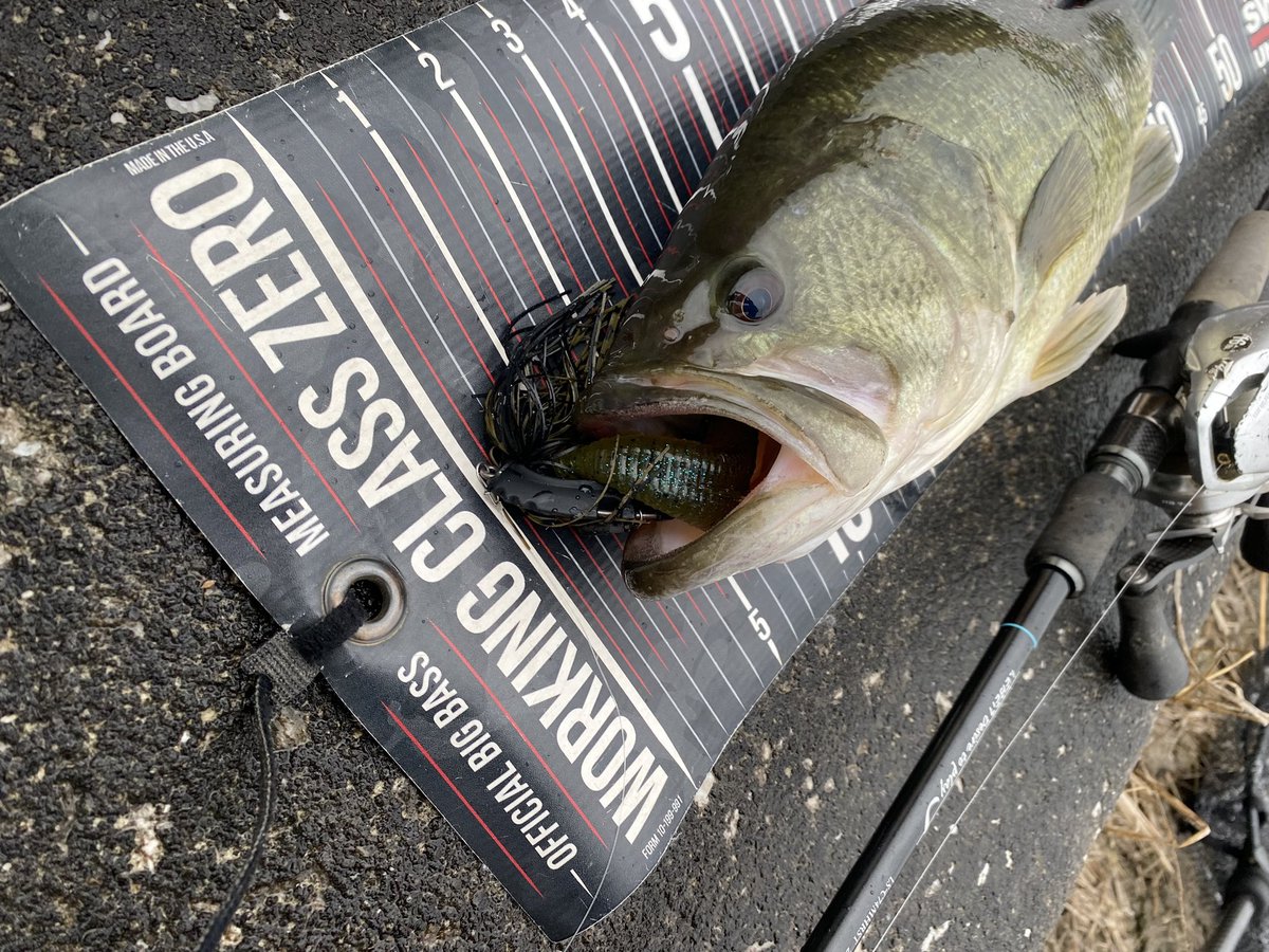 tinybeccha61's tweet image. 雨で濁りのある、ボラっ子食いのフィールドで💥💥💥

ミッドクルーザー➕ナス型シンカー1.8g➕ハートテール

尻尾開いてないから、45〜46ぐらいかな❓

#DIVISER
#MIDCRUISER