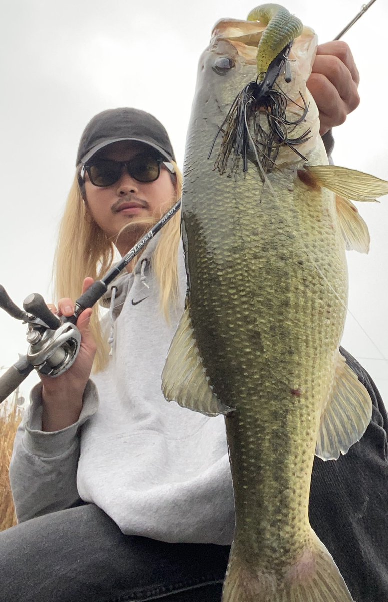 tinybeccha61's tweet image. 雨で濁りのある、ボラっ子食いのフィールドで💥💥💥

ミッドクルーザー➕ナス型シンカー1.8g➕ハートテール

尻尾開いてないから、45〜46ぐらいかな❓

#DIVISER
#MIDCRUISER