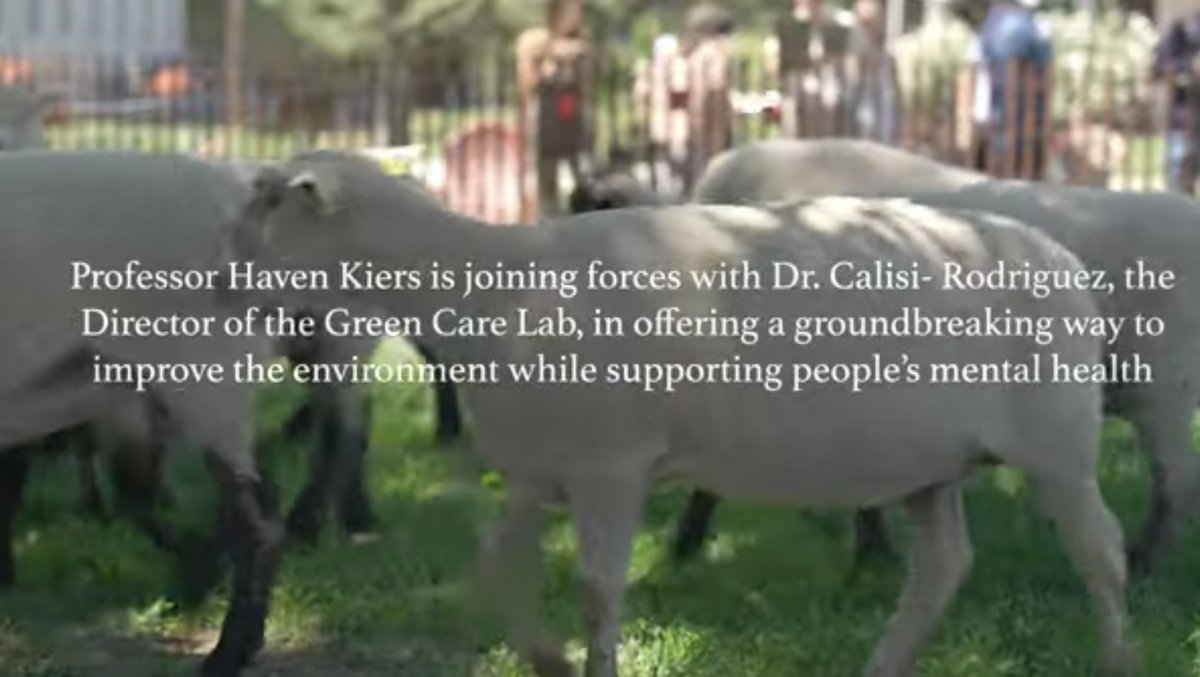 𝘿𝙧. 𝘾𝙧𝙮𝙨𝙩𝙖𝙡 𝙍𝙤𝙜𝙚𝙧𝙨 ≽(◕ ᴗ ◕)≼ 🐥🐸 tweet media