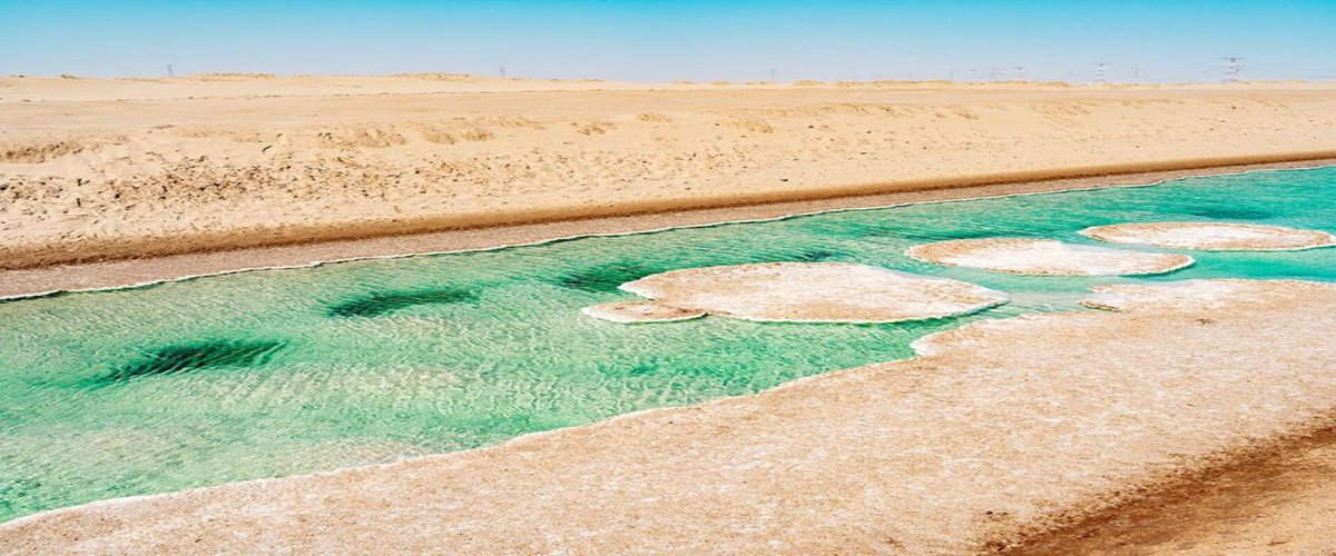 🌅🧂 Discover the Serene Beauty of Al Wathba Salt Lake in Abu Dhabi! 🧂🌅

#VooToursTourism #VooTours #AlWathbaSaltLake #AbuDhabiDesert #NatureEscape #TranquilDestinations #PhotographyParadise 🌿🔍