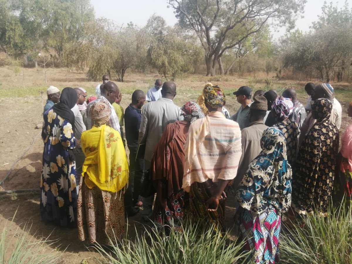 Formation à Sélingué : une trentaine de producteurs et d'agents locaux sont actuellement formés sur les systèmes d'irrigation solaire, du 19 au 23 février au Centre de formation professionnelle de @Mfolkecenter. Une collaboration fructueuse entre Mali-Folkecenter Nyetaa, GIZ