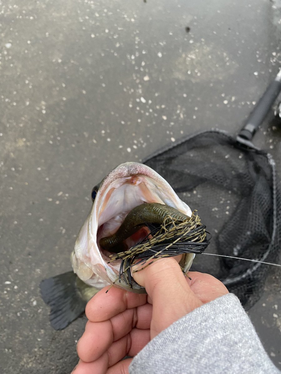 tinybeccha61's tweet image. 追加🐟
バイト深くて、しっかり追って食ってるの分かって最高🤟

43ぐらい❓

#DIVISER
#MIDCRUISER