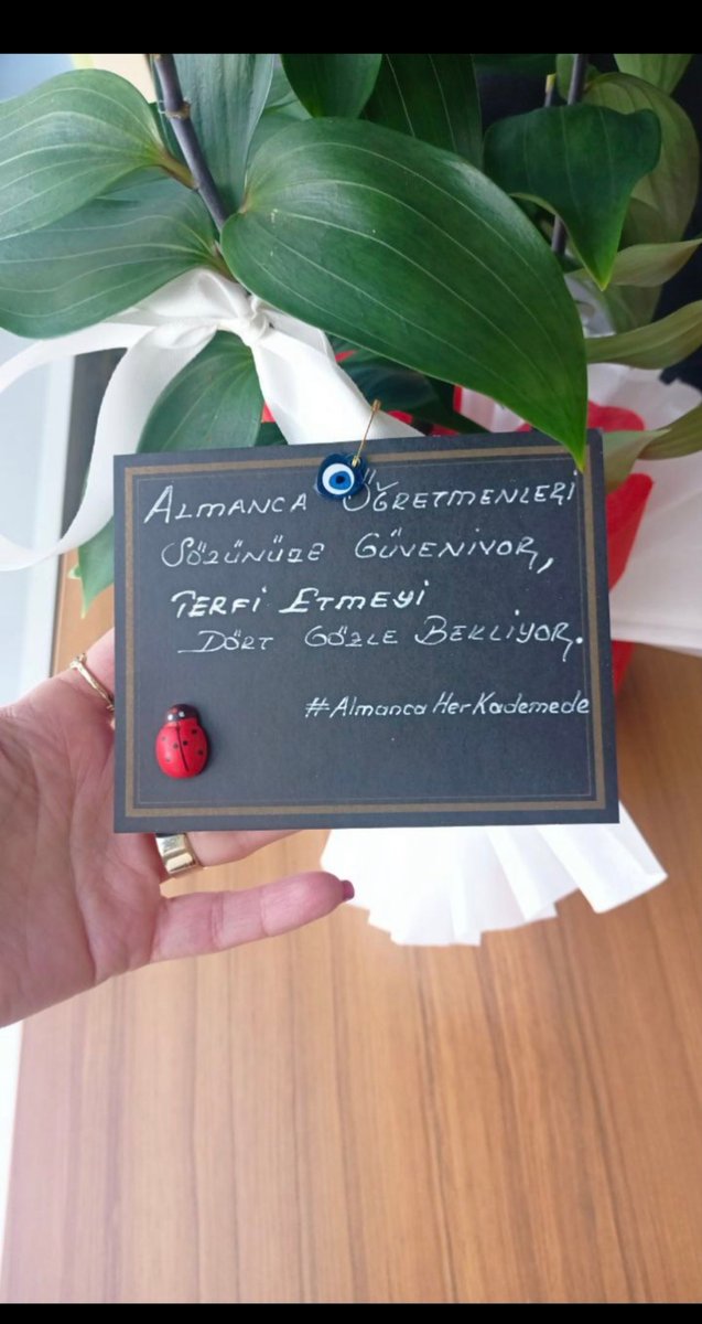 #AlmancasizOlmaz <a href="/Yusuf__Tekin/">Yusuf Tekin</a> Almanca dersi tekrar zorunlu dersler arasında olmalıdır. Lütfen kararınızı tekrar gözden geçirin.