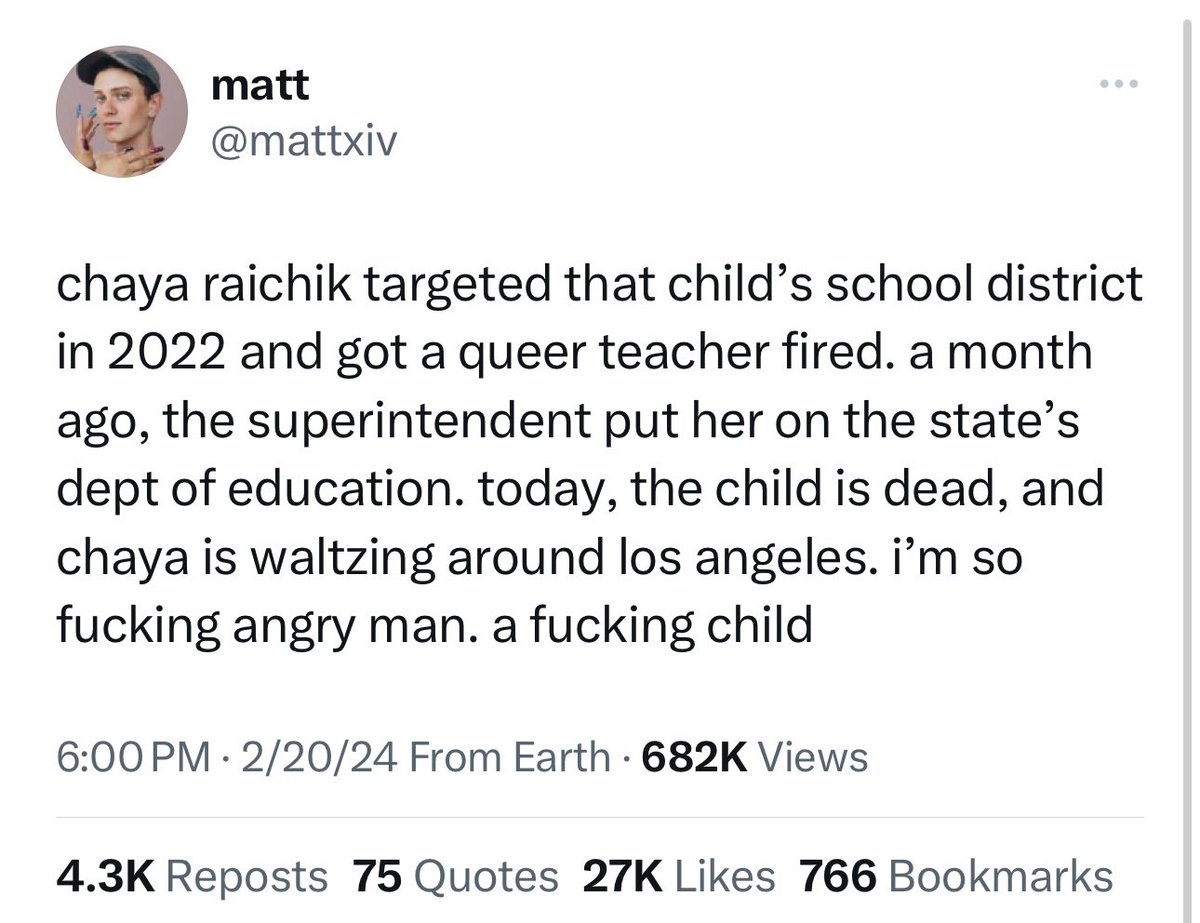 “Chaya is waltzing around Los Angeles. I’m so angry.”

They keep saying exactly what they mean.

They want me m*rdered for exposing the sexualization of kids.

Isn’t this “stochastic terrorism”?
