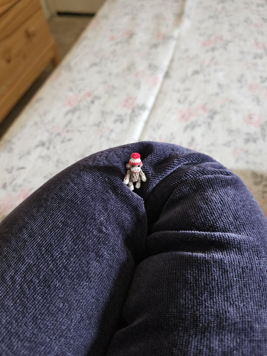 budgiesbudgies's tweet photo. My mini buddy 🤎🐒🐦
#minimonkey #socute #crochetmonkey https://t.co/Y9B6qJV8AG