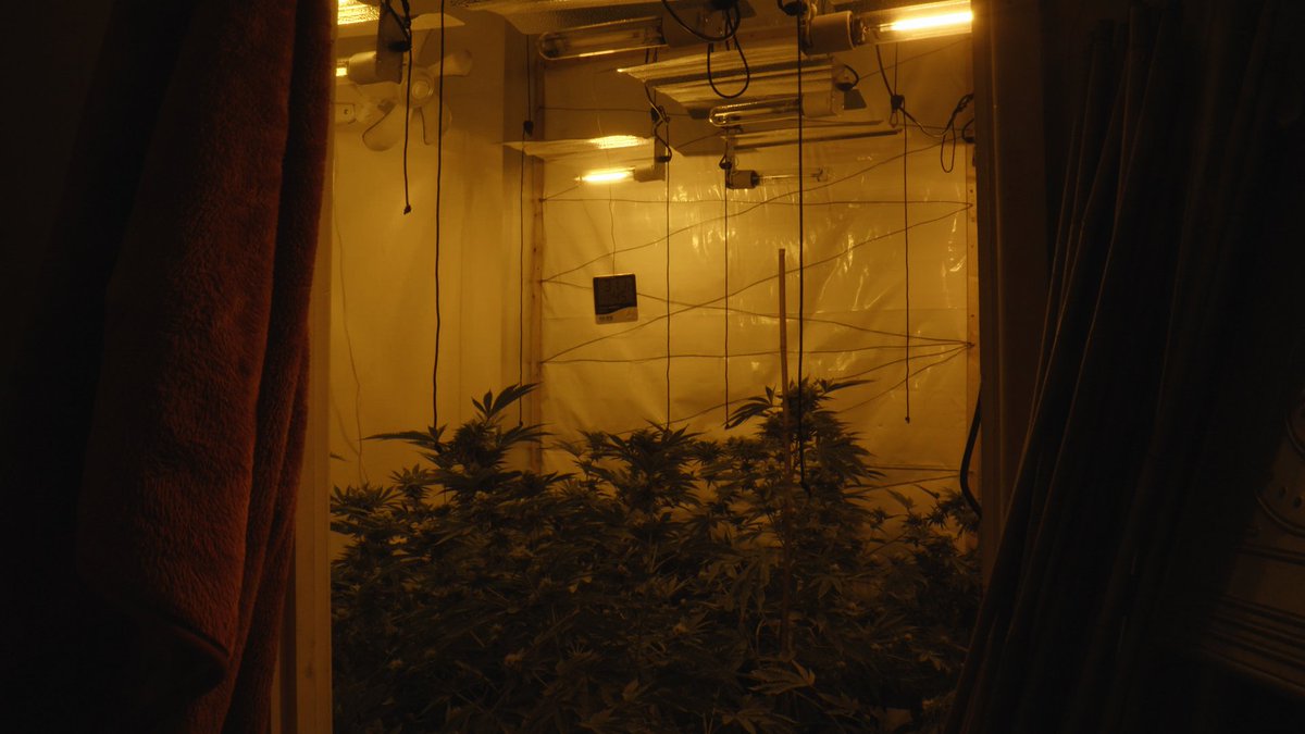 420x_Stratos tweet media