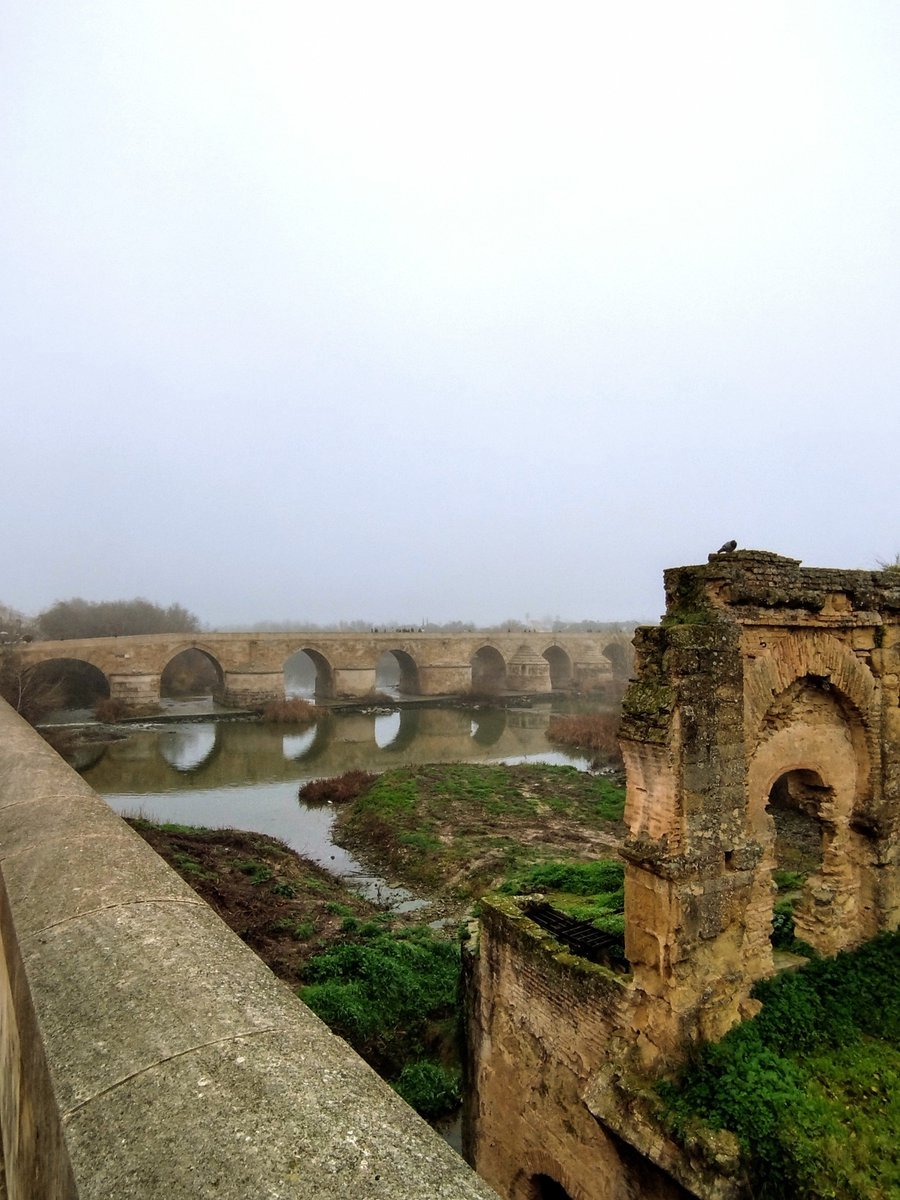 #BridgesThursday 
Puente Romano de Córdoba