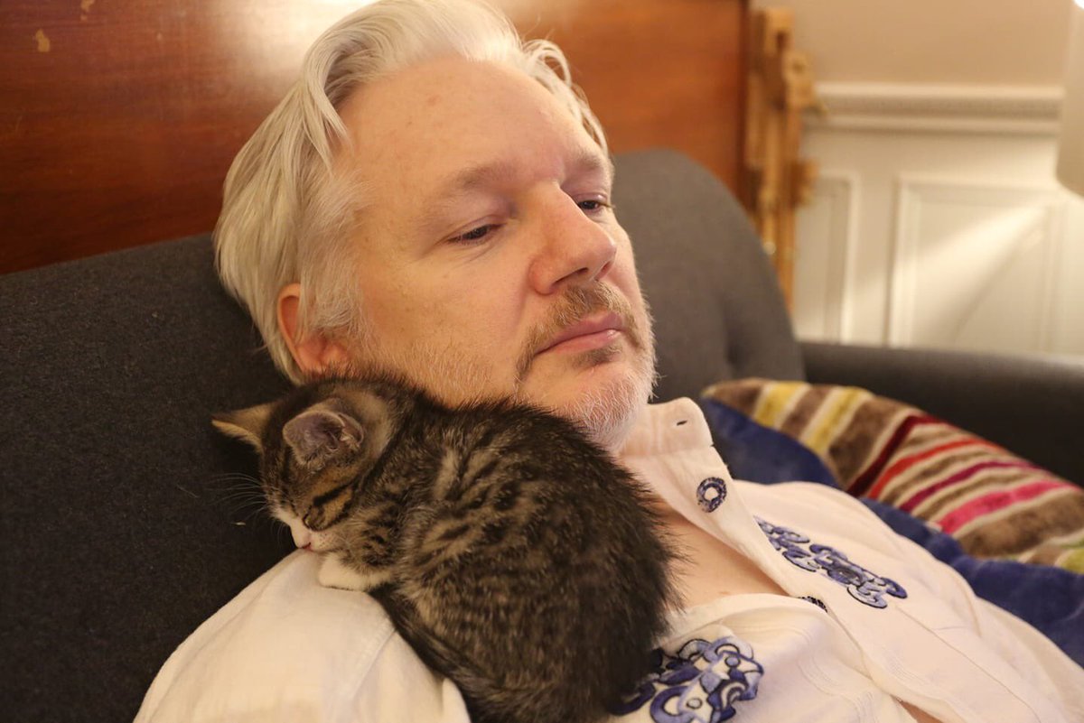 TaxationsTheft7's tweet photo. #FreeJulianAssange #FreeAssangeNOW #FreeTheTruth #TruthIsNotTreason #TruthIsNotaCrime https://t.co/aMCLL2RejK