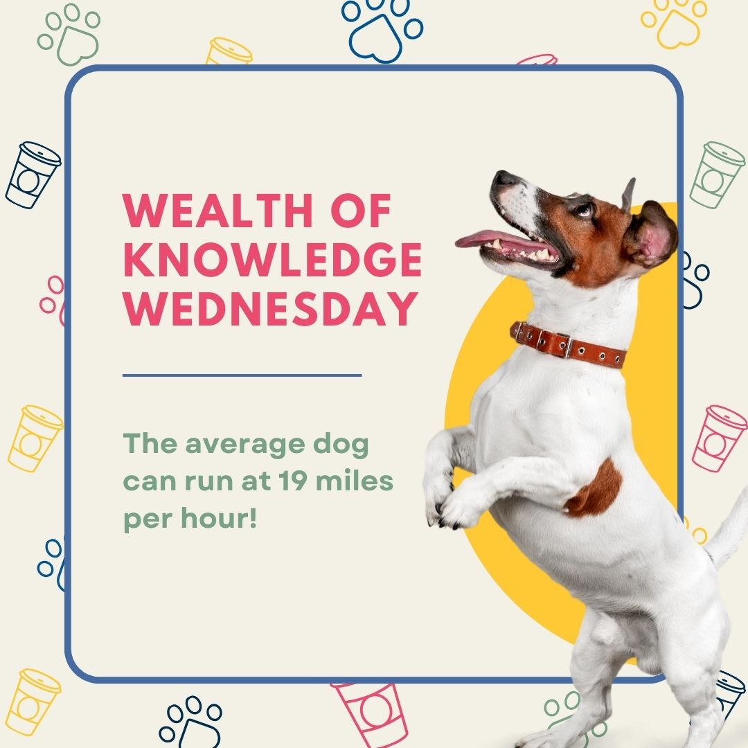 Happy Hump Day!!! #WealthofKnowledgeWednesday