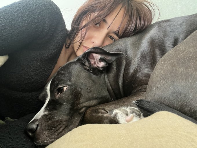 camera shy https://t.co/GYTVOt8vxp