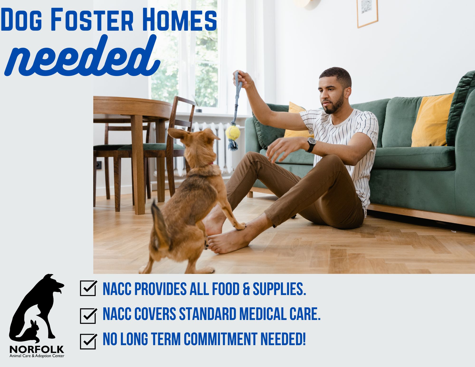 Animal care adoption best sale center