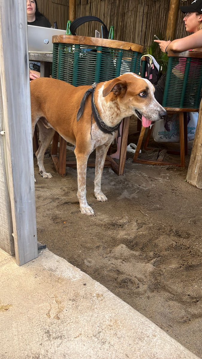chico9923's tweet photo. Puerto escondido es una simulación https://t.co/HbvAiaprG6
