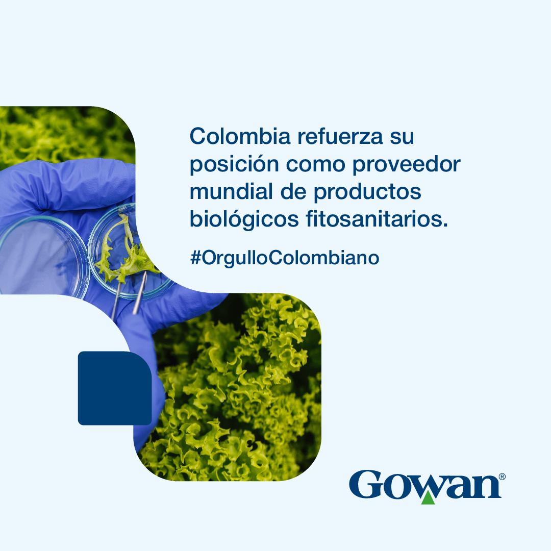 GowanColombia's tweet photo. Colombia refuerza su posición como proveedor mundial de productos biológicos fitosanitarios.
#orgullocolombiano #Gowancolombia #biológicos https://t.co/W6nhwlNfgu
