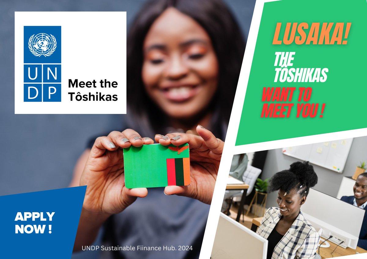 BongoHive's tweet image. Meet the Toshikas (Investors)!

UNDP seeks 2 Zambian startups with SDGs-aligned products or services to undergo an Investment Readiness journey, receiving 20,000 USD grant and a 1-week trip to Japan to meet investors. 

Apply: bit.ly/UNDP-MTT-Apply

Deadline 1st March, 2024.