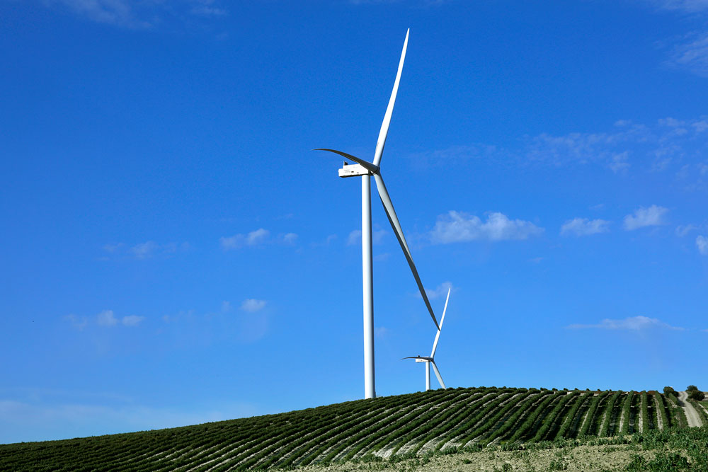 - <a href="/_CapitalEnergy_/">Capital Energy</a>  adjudica a #GES–Global Energy Services los trabajos de construcción de sus parques #eólicos aragoneses Las Mareas I y II
tinyurl.com/2bb46f9r