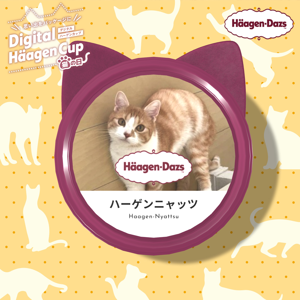 Haagen_Dazs_JP's tweet image. 今日は #猫の日 🐈
デジタルハーゲンカップで自分だけの猫カップを作ってみませんか？🐱🍨

#ハーゲンニャッツ をつけて、猫耳つきのデジタルハーゲンカップを投稿してね🐱

🐾猫耳カップは2月28日（水）まで楽しめます！

みなさんの投稿をお待ちしております！