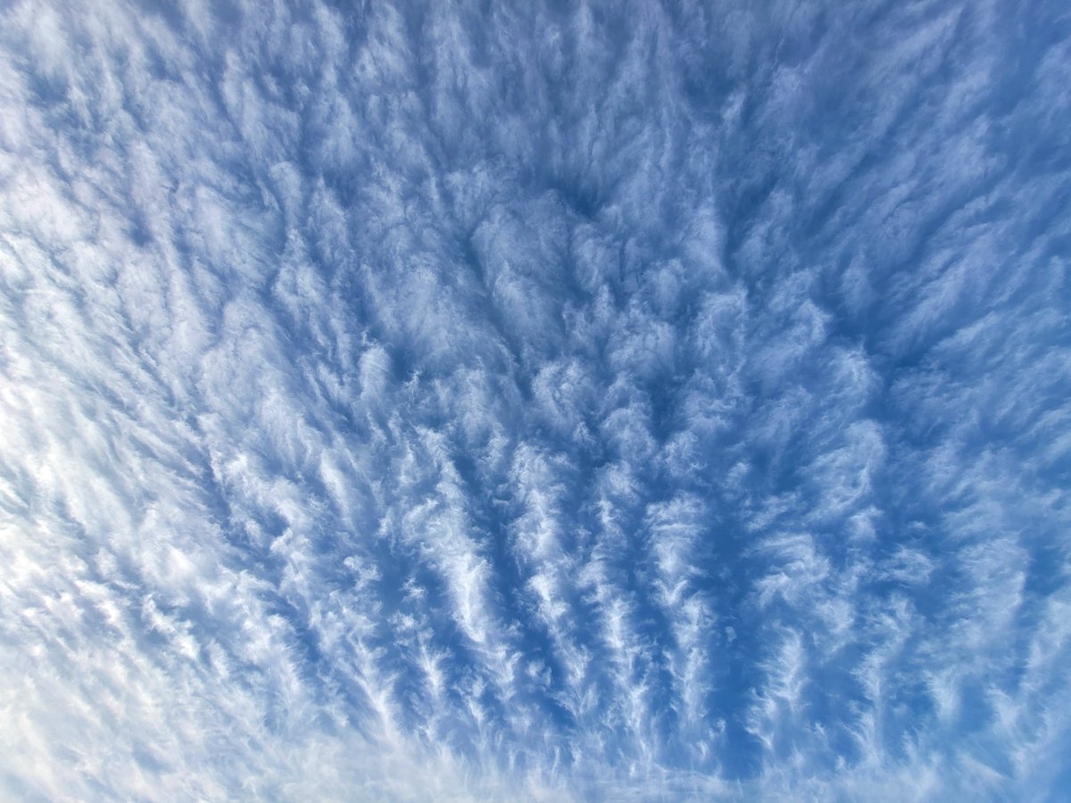 RyanJenkins312's tweet photo. The clouds this morning😍 #okwx @jamesaydelott  @GroganontheGO @mikaylasmithwx https://t.co/NqaIP7eCZ8
