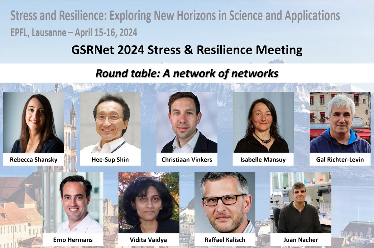 Discover the impactful work of #research networks on #stress and #resilience around the world with their representatives👇 @ShanskyLab @vinkerslab @IsabelleMMansuy @ErnoHermans @ViditaVaidya @RaffaelKalisch, @neuronacher, Hee-Sup Shin & Gal Richter-Levin …ress-and-resilience-meeting24.epfl.ch