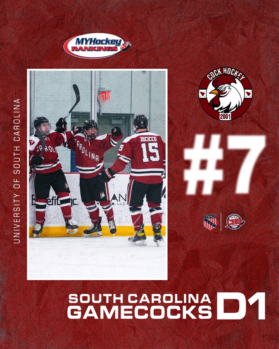CollegeHkySouth tweet picture