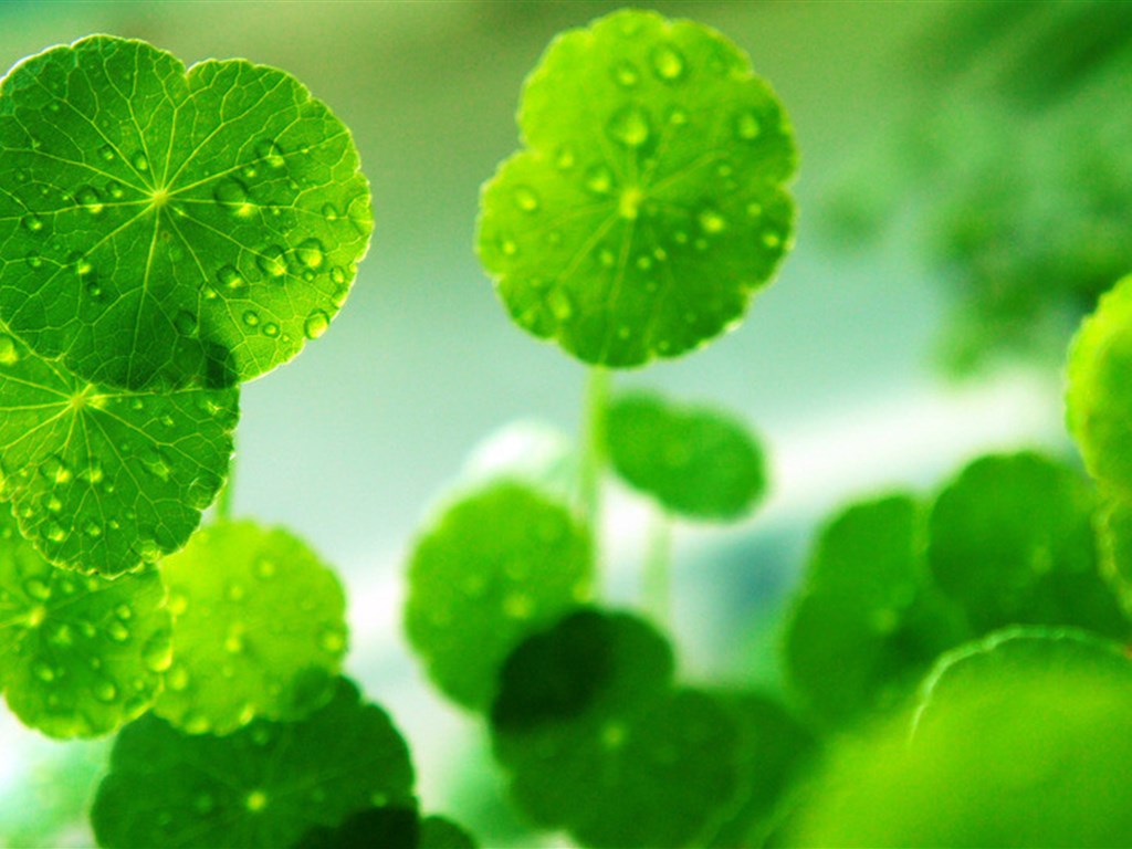 Raven (@raven1642628) on Twitter photo 