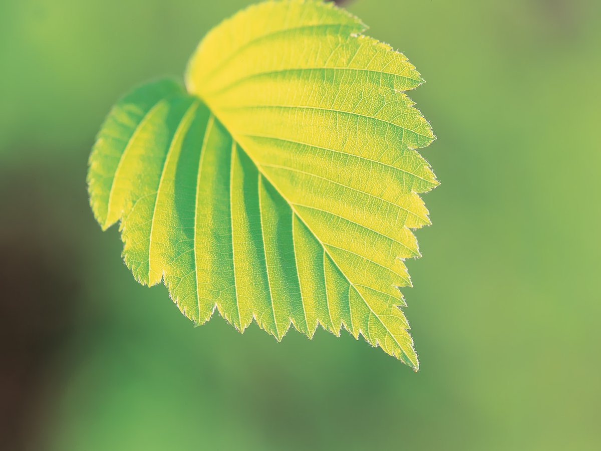 MNithe18489's tweet image. 