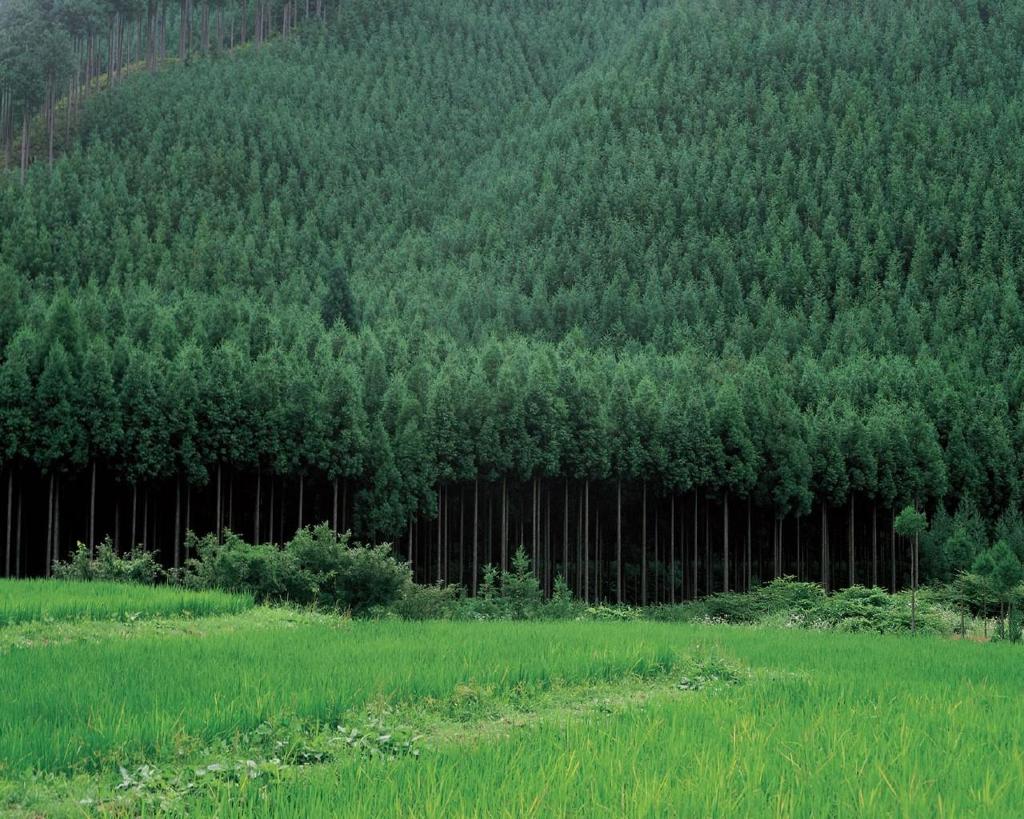 Shouslen (@shouslen32788) on Twitter photo 