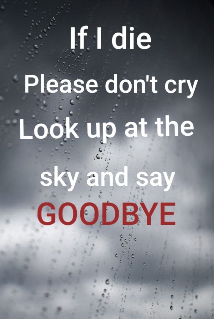Bugsyneedsunow's tweet photo. @Bugsyneedsunow https://t.co/Lbgx2XWOE7