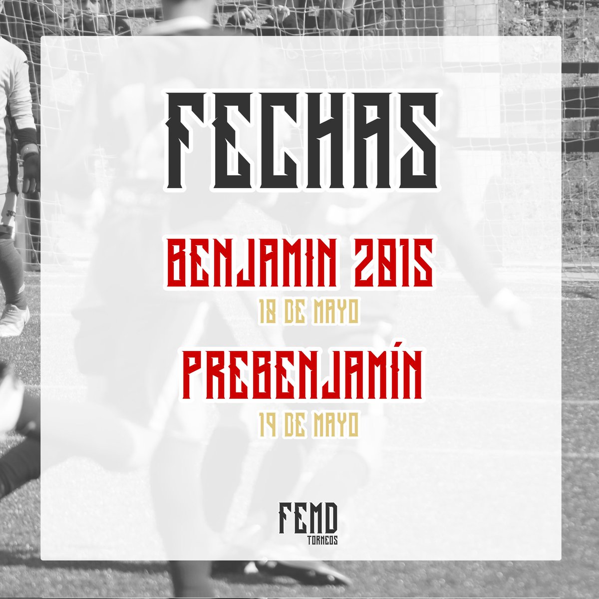 🏆🔴⚪️ ¡Viana de Cega, sede de la Copa CyL 2024! ⚪️🔴🏆

Los días 18 y 19 de mayo se citarán en Arroyo Molino los mejores equipos de Castilla y León en las siguientes categorías:

👉 Benjamin 2015
📆 18 de mayo

👉 Prebenjamin 
📆 19 de mayo

¡Empieza la cuenta atrás!

#Torneos