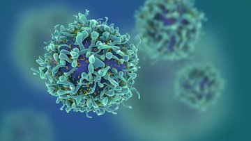 almayadeen_es's tweet photo. Las células T están muy cerca de ser el elixir del antienvejecimiento https://t.co/7YQuq5U2R8

#Ciencia #Salud #Juventud #CelulasT https://t.co/RrjEOdmIpS