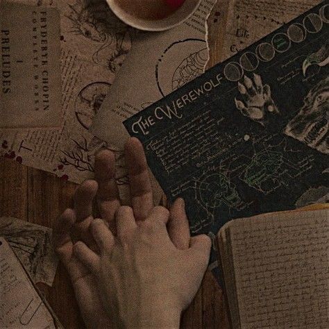 Lilichka Evans tweet media