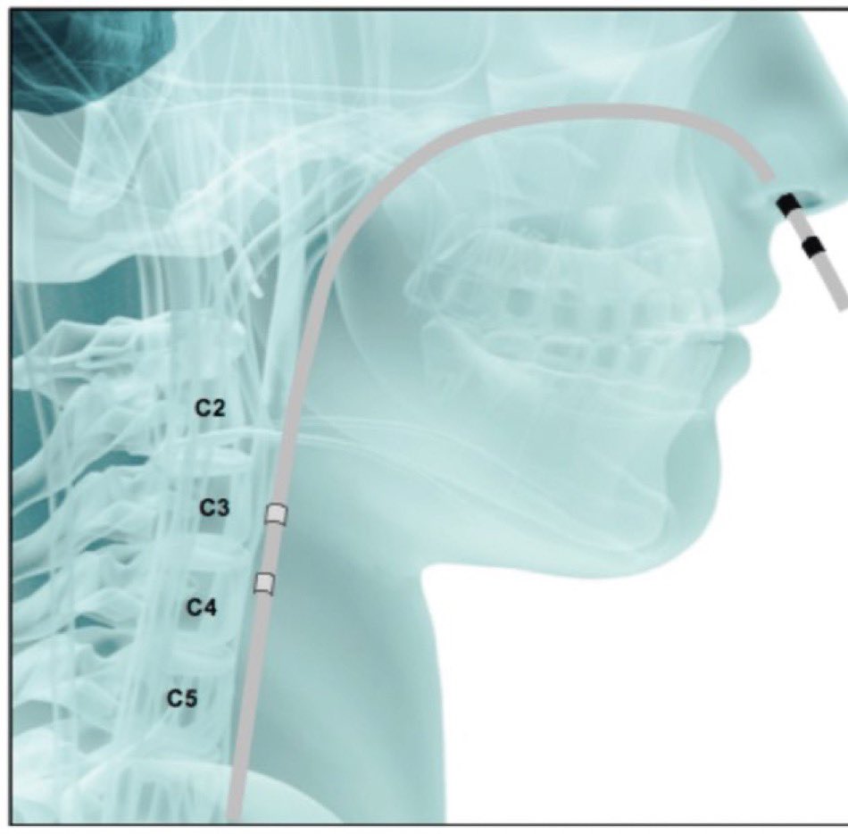 Natalie Lennard tweet media