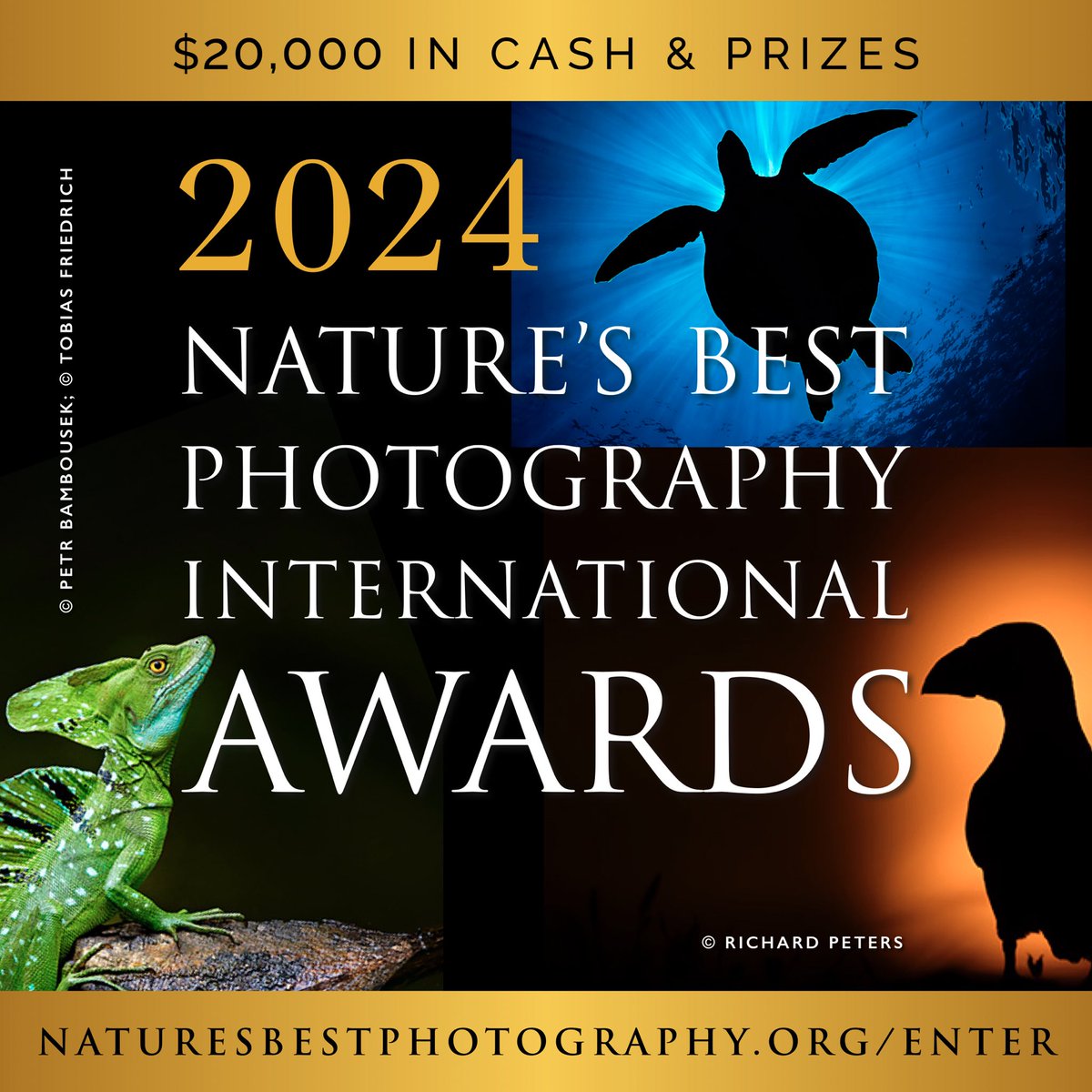 Last weeks to enter the NBP Awards! Start an entry at naturesbestphotography.org/enter and you have until March 15th to upload photos and videos.