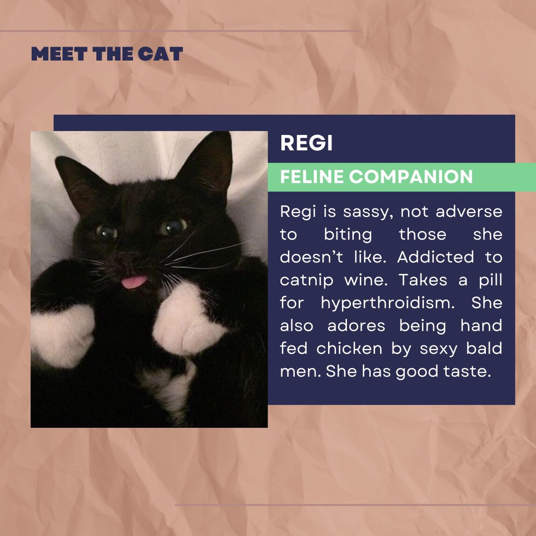 madameraerae's tweet photo. Meet Regi! Daniela’s geriatric cat. #cjm #sushiandsealions #booktok #bookstagram #romance #romancereads #romancebooks #romancereader #amreading #amreadingromance #chicklit #chicklitbooks #chicklitreads #chicklitreader #womensfiction #bookclub https://t.co/QYDGEutCsZ