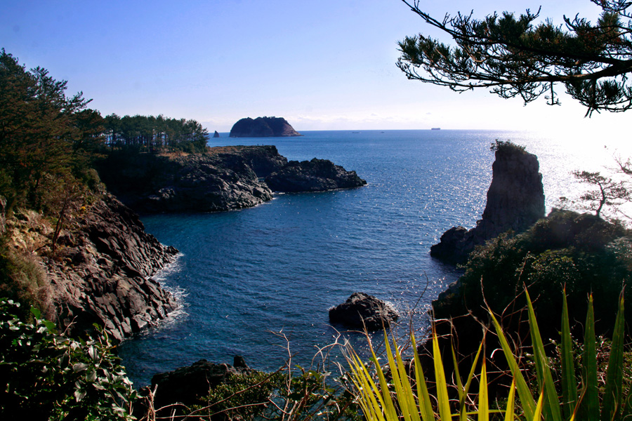 SparkCoral26659's tweet image. 