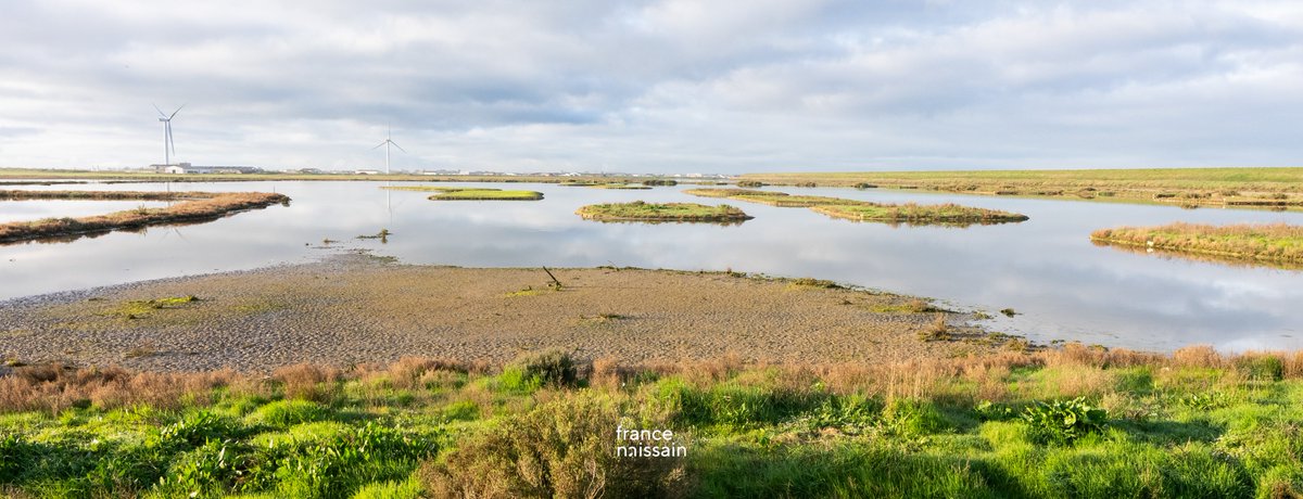 Ocealma_group's tweet photo. France Naissain engagée dans le nettoyage de la lagune aux côtés d'élus, @Thomascallac, à l'initiative de la Fédération des Chasseurs de la Vendée.
🌱Cultivons notre chance de travailler dans un environnement riche par sa biodiversité! 
#environnement #biodiversite #proteger https://t.co/KJip4bnDqD