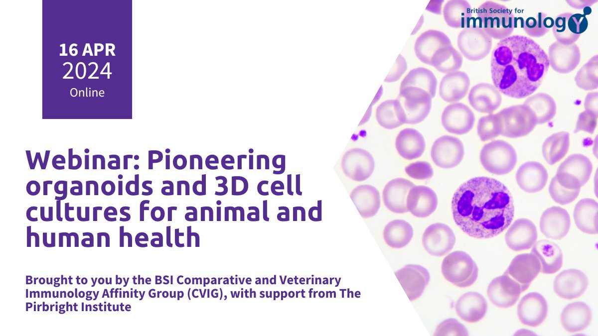 BSI @compvetimm Group's webinar is perfect for those interested in #PioneeringOrganoids 🌟 Invited speakers incl. Dr David Smith, Dr Adithya Sridhar, Dr Kate Sutton & Prof Dirk Werling 🙌 Full programme details soon! Submit your abstract by Fri 15 Mar👉bit.ly/423kpJi